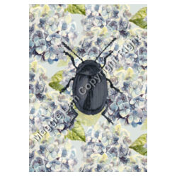 Beetle loves Hydrangea Design